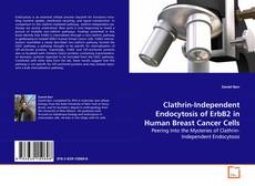 Buchcover von Clathrin-Independent Endocytosis of ErbB2 in Human
Breast Cancer Cells