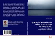 Copertina di Spatially distributed water stages from remotely
sensed imagery