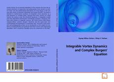 Copertina di Integrable Vortex Dynamics and Complex Burgers' Equation