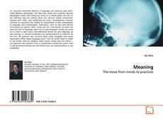 Couverture de Meaning