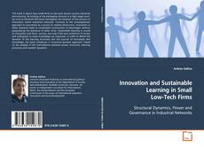Couverture de Innovation and Sustainable Learning in Small Low-Tech
Firms
