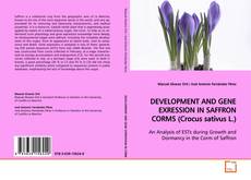 Copertina di DEVELOPMENT AND GENE EXRESSION IN SAFFRON CORMS
(Crocus sativus L.)