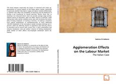 Capa do livro de Agglomeration Effects on the Labour Market 