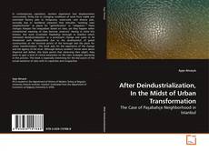 After Deindustrialization, In the Midst of Urban Transformation kitap kapağı