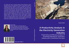 Capa do livro de A Productivity Analysis in the Electricity Generation Industry 