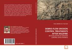 Copertina di DEBRIS-FLOW EROSION CONTROL TREATMENTS AFTER WILDFIRE