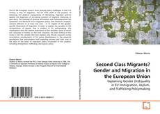 Couverture de Second Class Migrants? Gender and Migration in the European Union