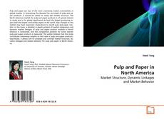 Capa do livro de Pulp and Paper in North America 