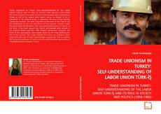Capa do livro de TRADE UNIONISM IN TURKEY:SELF-UNDERSTANDING OF LABOR
UNION TÜRK-İŞ 