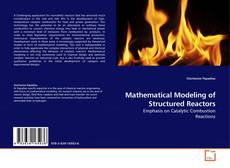 Buchcover von Mathematical Modeling of Structured Reactors