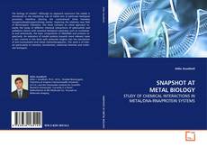 Couverture de SNAPSHOT AT METAL BIOLOGY