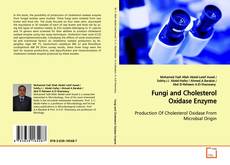 Couverture de Fungi and Cholesterol Oxidase Enzyme