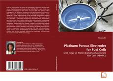Platinum Porous Electrodes for Fuel Cells kitap kapağı