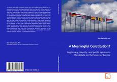 Buchcover von A Meaningful Constitution?