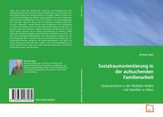 Copertina di Sozialraumorientierung in der aufsuchenden
Familienarbeit