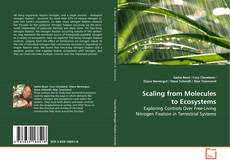 Buchcover von Scaling from Molecules to Ecosystems