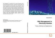 Copertina di Risk Management in Electricity Markets
