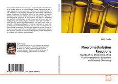 Fluoromethylation Reactions的封面