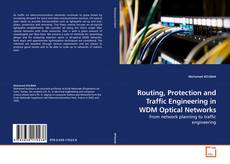 Routing, Protection and Traffic Engineering in WDM Optical Networks kitap kapağı