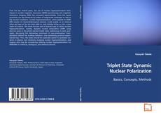 Copertina di Triplet State Dynamic Nuclear Polarization