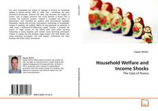 Bookcover of Household Welfare and Income Shocks