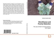 Copertina di Microfinance and
Poverty Reduction