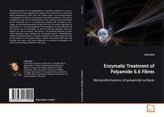 Copertina di Enzymatic Treatment of Polyamide 6.6 Fibres