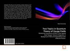 Bookcover of Two Topics in Quantum Theory of Gauge Fields