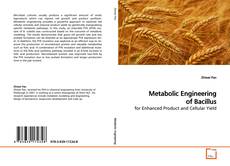 Borítókép a  Metabolic Engineering of Bacillus - hoz