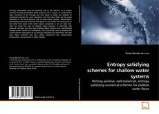 Couverture de Entropy satisfying schemes for shallow water systems