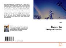 Buchcover von Natural Gas Storage Valuation