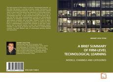 Borítókép a  A BRIEF SUMMARY OF FIRM-LEVEL TECHNOLOGICAL LEARNING - hoz