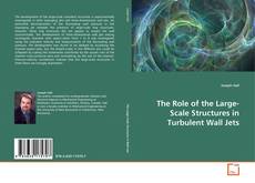 Обложка The Role of the Large-Scale Structures in Turbulent Wall Jets