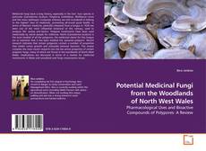 Bookcover of Potential Medicinal Fungi from the Woodlands of North West Wales