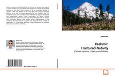 Buchcover von Kashmir: Fractured Nativity