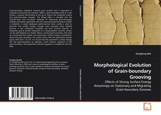 Buchcover von Morphological Evolution of Grain-boundary Grooving