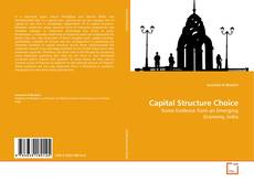 Capital Structure Choice kitap kapağı