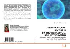 Copertina di IDENTIFICATION OF PROTEINS IN BURKHOLDERIA SPECIES AND IN TICK NYMPHS