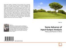 Copertina di Some Advance of Input-Output Analysis