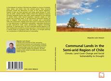 Couverture de Communal Lands in the Semi-arid Region of Chile