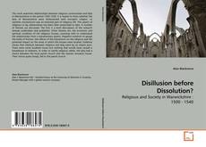 Disillusion before Dissolution?的封面