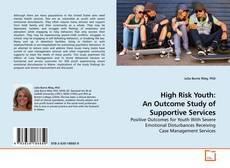 Buchcover von High Risk Youth: An Outcome Study of Supportive Services