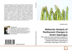 Обложка Molecular Analysis of Postharvest Changes in Green Asparagus