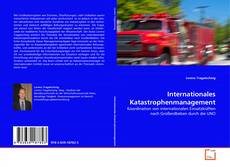 Buchcover von Internationales Katastrophenmanagement