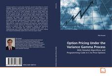 Buchcover von Option Pricing Under the Variance Gamma Process