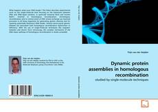 Dynamic protein assemblies in homologous recombination kitap kapağı
