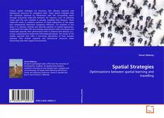 Spatial Strategies的封面