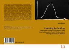 Learning by Scaling kitap kapağı