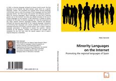 Minority Languages on the Internet的封面