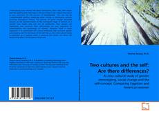 Two cultures and the self:  Are there differences?的封面